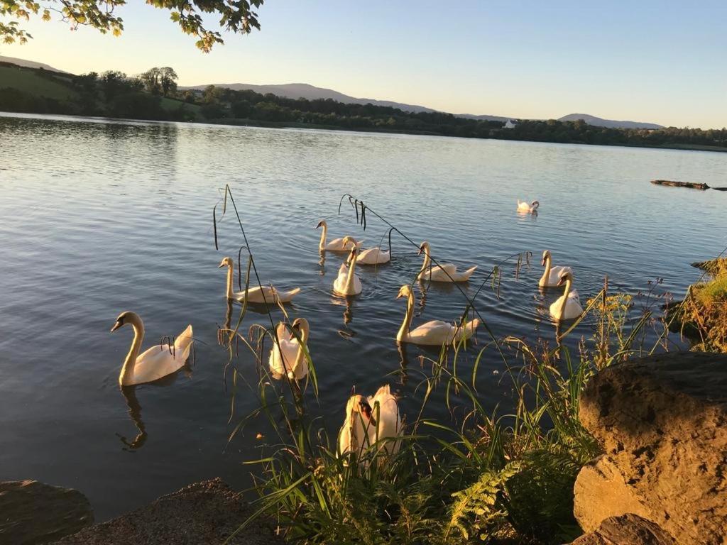 Lakeside Lookout Bantry Корк Екстериор снимка