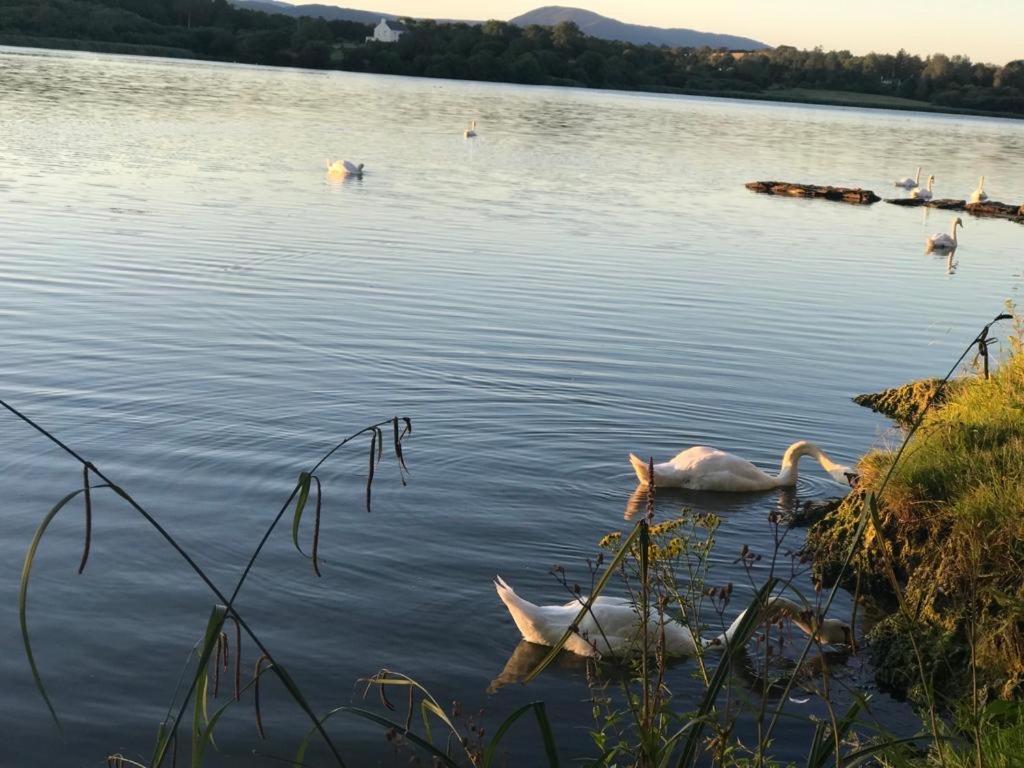 Lakeside Lookout Bantry Корк Екстериор снимка